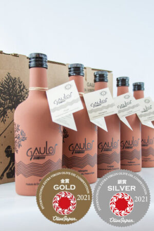 Pack 5 unidades Gaulos 500 ml - Imagen 1
